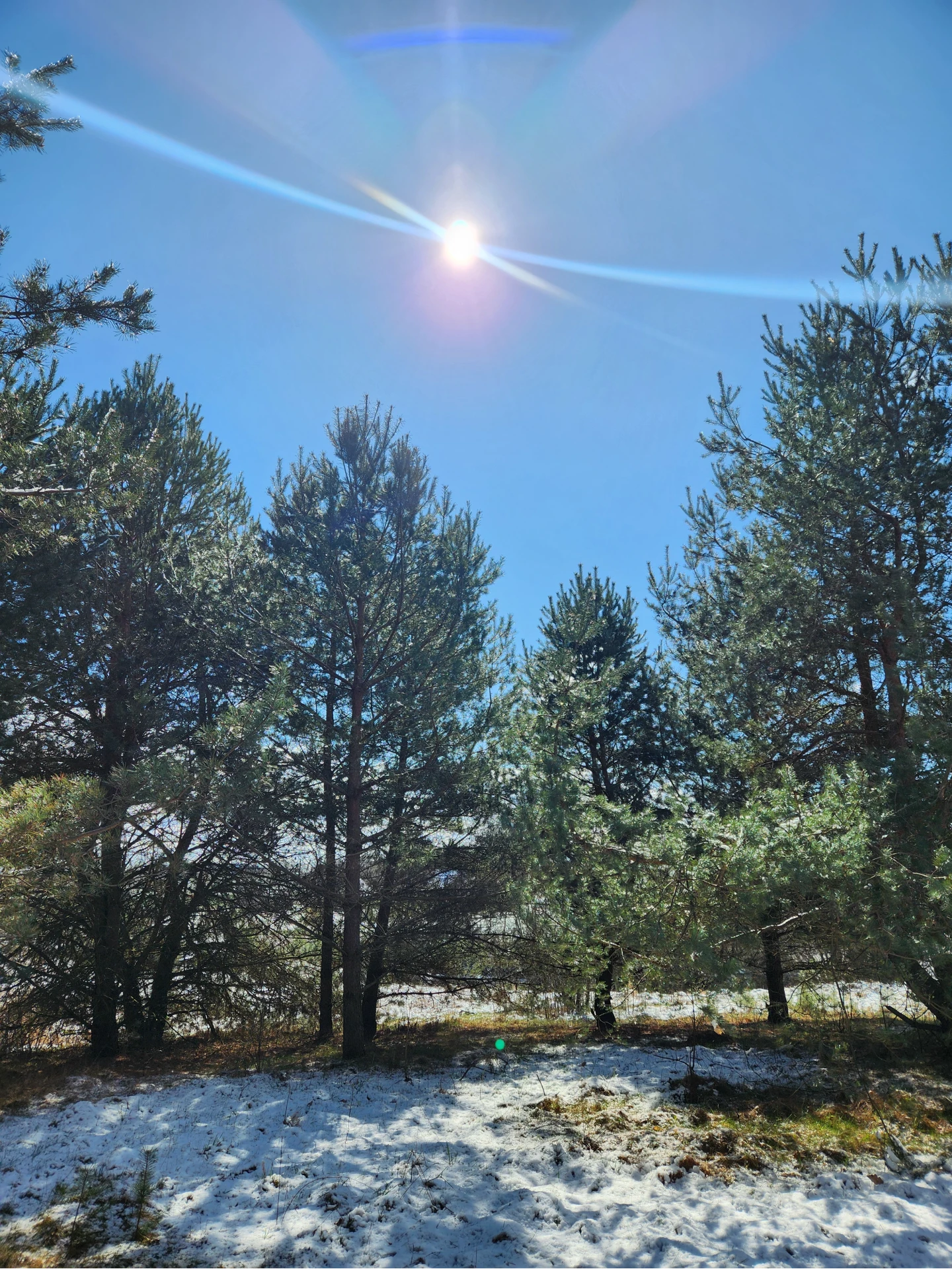 Taken on Samsung Galaxy Z Fold 4